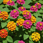 explorez les secrets d'une fleur méconnue qui transforme votre jardin en un véritable havre de beauté, florissant à chaque saison. apprenez comment cette merveille végétale peut apporter une touche unique et durable à votre espace extérieur.