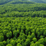 découvrez les prix imbattables des granulés de bois chez leclerc en janvier 2025. ne manquez pas cette occasion unique de réaliser des économies tout en optant pour une solution de chauffage écologique et performante. profitez de nos tarifs compétitifs dès maintenant!