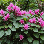 découvrez la plante ultra-résistante qui embellit votre jardin tout en vous protégeant des regards indiscrets. idéale pour allier esthétique et intimité, cette variété exceptionnelle apportera une touche de verdure à votre espace extérieur.
