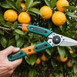 découvrez notre guide pratique pour tailler efficacement votre citronnier en pot. obtenez des conseils saisonniers et des techniques éprouvées pour favoriser la croissance et la santé de votre arbre fruitier tout en améliorant sa production de citrons.