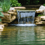 découvrez des astuces naturelles efficaces pour oxygéner votre bassin sans avoir recours à une pompe. apprenez à maintenir un écosystème équilibré grâce à des méthodes durables et respectueuses de l'environnement.