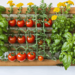 découvrez combien de plants de tomate cultiver par mètre carré pour optimiser votre récolte. suivez notre guide complet avec conseils pratiques, astuces et densité idéale de plantation pour un potager productif et sain.