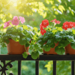découvrez des astuces ancestrales simples et efficaces pour faire fleurir de magnifiques géraniums. profitez de conseils traditionnels pour sublimer vos plantes tout au long de la saison.