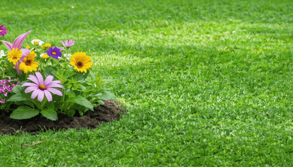 découvrez les principaux inconvénients du gazon anglais : entretien complexe, consommation d’eau élevée et impact environnemental. informez-vous sur les aspects essentiels avant d’adopter ce type de pelouse pour votre jardin.