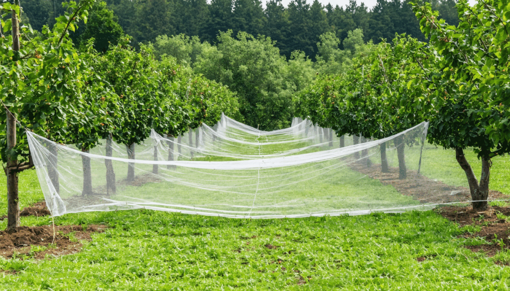 découvrez des stratégies efficaces pour maîtriser le papillon et protéger votre verger. conseils pratiques, prévention et solutions naturelles pour préserver vos récoltes en toute sérénité.
