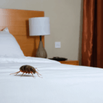 découvrez comment reconnaître la mite de poussière et adoptez des solutions efficaces pour éliminer ces insectes de votre intérieur. notre guide complet vous aide à protéger votre maison durablement.