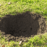 découvrez des astuces simples et efficaces pour combler les trous dans votre jardin sans créer de monticules, et retrouver une pelouse harmonieuse facilement.