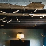 découvrez nos conseils pratiques pour identifier, éliminer et prévenir une infestation de larves de mites dans votre plafond, afin de protéger efficacement votre maison.