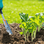 découvrez s'il est indispensable de désherber avant de préparer le sol, les avantages de cette étape et des conseils pour optimiser la préparation de votre jardin.