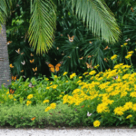 découvrez s’il est préférable de tailler ou de laisser pousser les grappes sur votre palmier. conseils d’experts pour un palmier en pleine santé et une croissance optimale dans votre jardin.