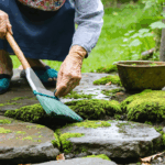 découvrez les meilleures astuces naturelles de nos grands-mères pour éliminer facilement la mousse de votre jardin ou terrasse. conseils simples, économiques et efficaces à tester dès maintenant !