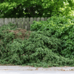 découvrez quelles démarches entreprendre si votre voisin accumule des déchets verts près de votre clôture : solutions amiables, cadre légal et conseils pour préserver votre tranquillité.