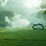 découvrez si l'utilisation de javel pour repousser les serpents est réellement efficace ou si elle présente des risques pour votre santé et l'environnement. conseils et précautions à prendre avant d'utiliser ce remède controversé.