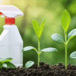 découvrez des méthodes éprouvées pour éliminer les punaises vertes de votre jardin et protéger efficacement vos plantes. conseils pratiques, astuces naturelles et solutions pour garder votre espace vert sain et florissant.