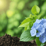 découvrez nos conseils pour choisir les meilleurs éléments décoratifs et végétaux afin de mettre en valeur le sol autour de vos hortensias et créer un jardin harmonieux et élégant.