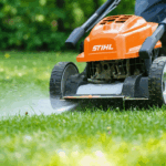 découvrez les astuces essentielles pour obtenir une pelouse impeccable en identifiant le meilleur moment pour tondre. suivez nos conseils d'experts pour un gazon vert, dense et en pleine santé toute l'année.