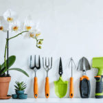 découvrez nos astuces indispensables pour rempoter votre orchidée facilement et sans risque. suivez nos conseils pour préserver la santé de vos plantes et favoriser leur floraison !