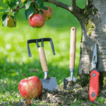 découvrez comment tailler vos pommiers pour stimuler une production abondante de fruits sains. suivez nos conseils pratiques pour une taille efficace et garantir la vitalité de vos arbres fruitiers.
