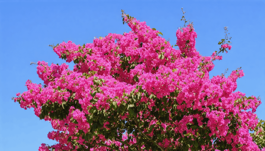 découvrez pourquoi votre lilas des indes ne fleurit pas et apprenez les meilleures astuces pour stimuler sa floraison et retrouver un jardin coloré et vivant.