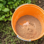 découvrez la quantité idéale de bouillie bordelaise à diluer dans 1 litre d'eau pour une protection optimale de vos plantes contre les maladies.