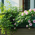 découvrez notre guide complet des fleurs commençant par la lettre e, avec des inspirations pour embellir votre jardin et créer un espace floral unique et coloré.