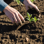 découvrez agrapresse.fr, votre référence incontournable pour toutes les actualités du jardinage. restez informé des dernières tendances, astuces et conseils pour faire prospérer vos plantes et embellir votre jardin.
