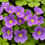 découvrez trois méthodes infaillibles pour venir à bout de l'oxalis dans votre jardin. apprenez des techniques efficaces et durables pour éliminer cette plante envahissante et retrouver un espace extérieur sain et esthétique.
