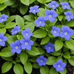 transformez votre jardin en un havre de verdure grâce à notre sélection de 7 plantes couvre-sol à croissance rapide. idéales pour embellir votre espace extérieur, ces plantes faciles d'entretien ajoutent couleur et texture tout en limitant les mauvaises herbes. découvrez le secret d'un jardin éclatant et luxuriant!