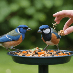découvrez les 5 clés essentielles pour attirer un rouge-gorge dans votre jardin. apprenez à créer un environnement accueillant et à utiliser des techniques simples pour profiter de ces charmants oiseaux tout au long de l'année.