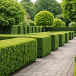 découvrez tout ce qu'il faut savoir sur la hauteur réglementaire des haies. informez-vous sur les lois et normes en vigueur pour maintenir l'harmonie de votre jardin tout en respectant votre voisinage.