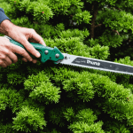 découvrez nos conseils pratiques pour gérer les branches sèches de vos thuyas. apprenez comment les recycler, les entretenir et les transformer en atouts pour votre jardin. suivez nos astuces pour une gestion efficace et écologique de vos espaces extérieurs.