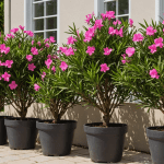 apprenez les techniques optimales pour tailler votre laurier-rose, afin de favoriser une floraison spectaculaire et abondante. suivez nos conseils pratiques et profitez d'un jardin luxuriant et coloré.