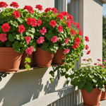 découvrez les étapes faciles pour installer un géranium lierre sur votre balcon ou dans votre jardin. apprenez à choisir l'emplacement idéal, préparer le sol et entretenir vos plantes pour profiter de leur beauté tout l'été.