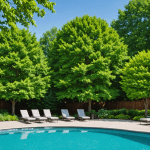 évitez les désagréments autour de votre piscine en découvrant notre sélection des 5 arbres à proscrire. protégez votre espace de baignade des feuilles, racines et débris indésirables tout en préservant l'esthétique de votre jardin.