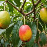 apprenez étape par étape comment faire germer facilement un noyau de mangue à la maison. suivez nos 5 conseils simples pour faire pousser votre propre manguier !