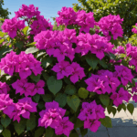 découvrez les 15 erreurs courantes à éviter pour entretenir votre bougainvillier et garantir sa floraison. suivez nos conseils pratiques pour un jardin coloré et en pleine santé.