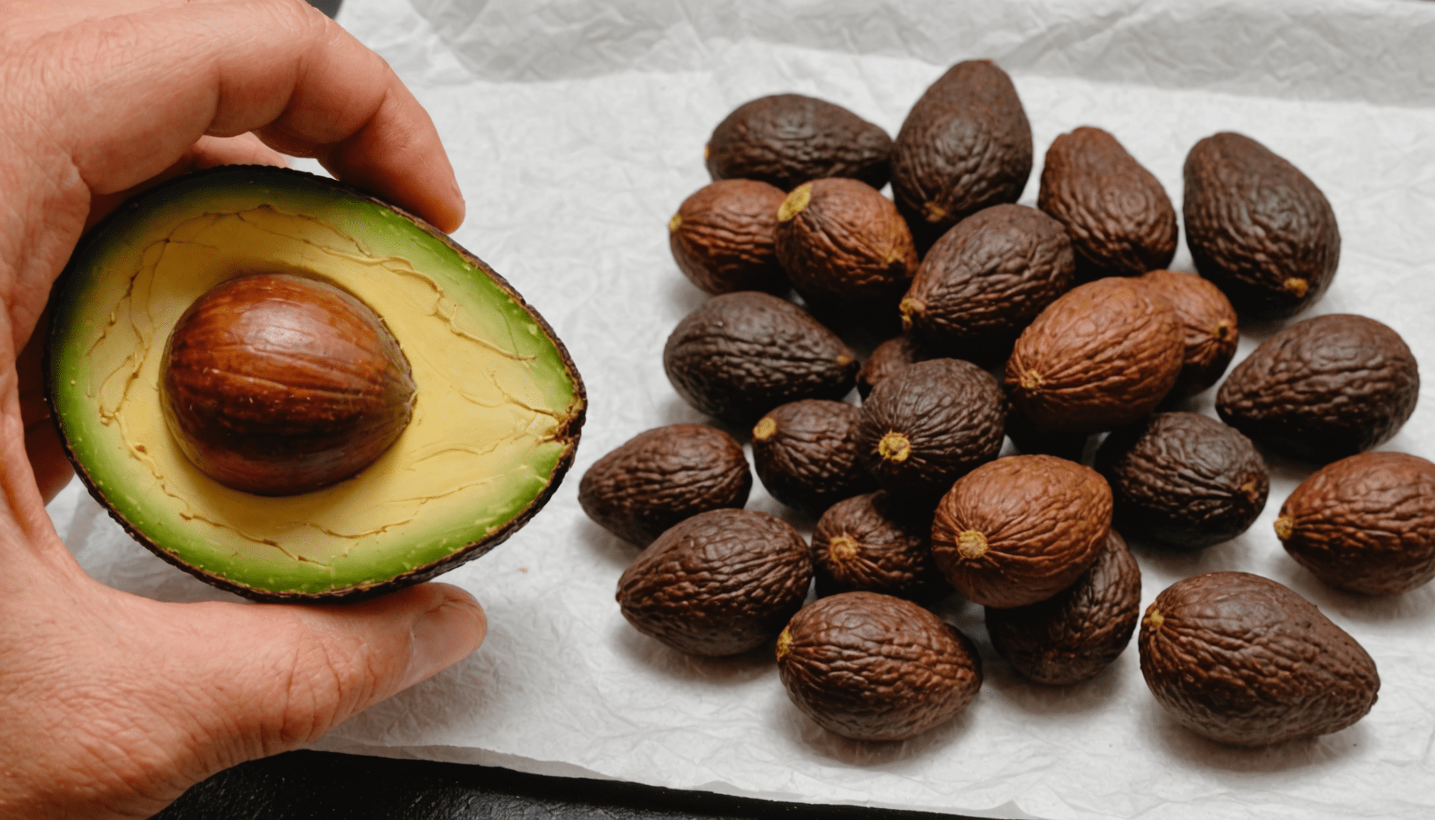 découvrez comment faire pousser un avocatier à partir d'un noyau grâce à des étapes simples. apprenez à préparer, planter et entretenir votre avocatier pour réussir sa culture à la maison.