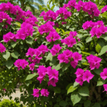découvrez tous les conseils pratiques pour entretenir votre bougainvillier toute l'année. taille, arrosage, exposition : suivez notre guide complet pour une floraison éclatante et durable.