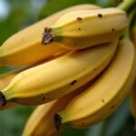 Peau de banane : un engrais naturel aux multiples bienfaits pour vos plantes