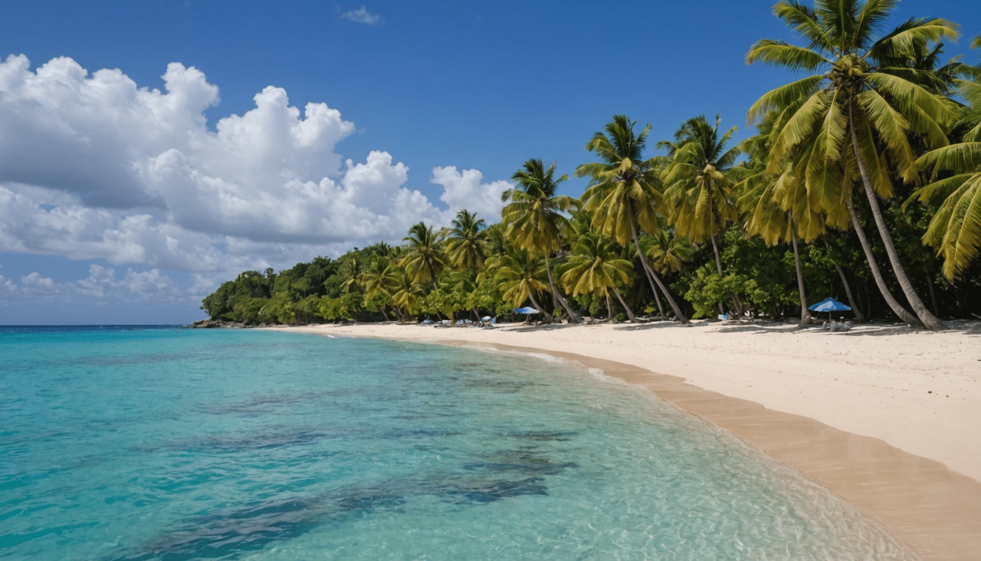 explorez les meilleures activités à ne pas manquer à trois rivières, en guadeloupe. plongez dans la culture locale, visitez des sites historiques, et profitez de paysages époustouflants. préparez-vous pour une aventure inoubliable dans ce charmant coin des caraïbes.