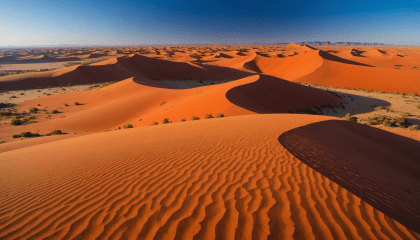 découvrez les merveilles naturelles et la faune exceptionnelle de la namibie à travers un safari inoubliable. explorez des paysages à couper le souffle, observez des animaux sauvages dans leur habitat naturel et plongez dans la culture fascinante du pays. les bonnes raisons de partir en safari en namibie vous attendent pour une aventure unique et mémorable.