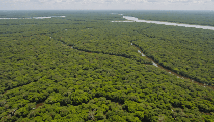 explorez la beauté sauvage du parc national de chobe grâce à notre guide complet. découvrez les meilleures activités, conseils pratiques et attractions incontournables pour vivre une expérience inoubliable au cœur de la nature.