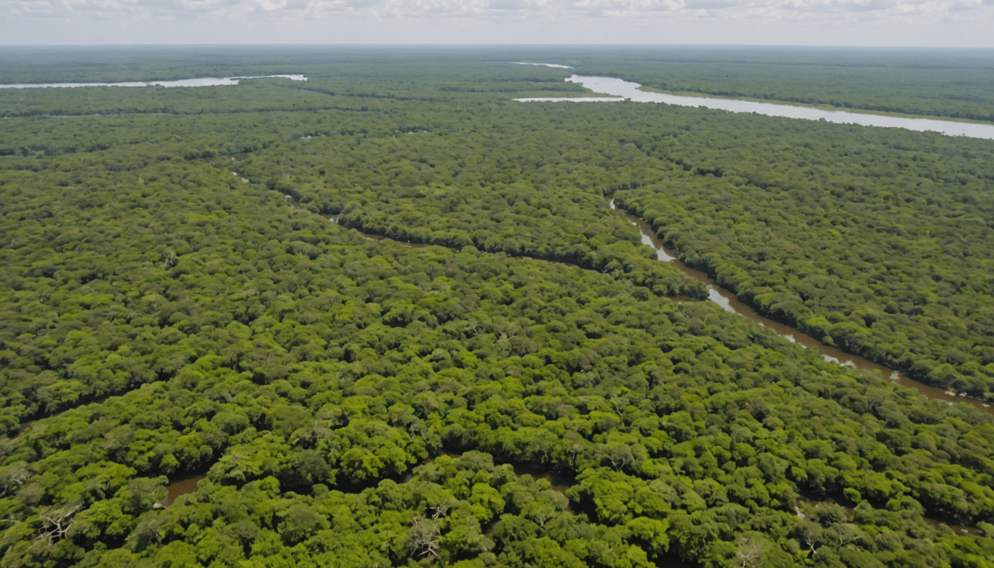 explorez la beauté sauvage du parc national de chobe grâce à notre guide complet. découvrez les meilleures activités, conseils pratiques et attractions incontournables pour vivre une expérience inoubliable au cœur de la nature.