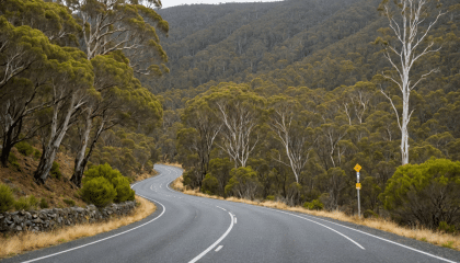 explorez le parc national franklin-gordon wild rivers en australie, un véritable trésor naturel où la nature sauvage et préservée vous attend. partez à l'aventure à travers ses paysages époustouflants, ses rivières cristallines et sa faune fascinante. un voyage inoubliable pour les amoureux de la nature et les amateurs de randonnées.