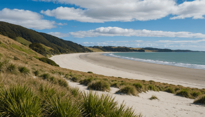 explorez le port de kaipara en nouvelle-zélande grâce à notre guide complet. découvrez ses paysages incroyables, ses activités nautiques et son riche patrimoine culturel. préparez votre visite pour une expérience inoubliable au cœur de cette destination authentique.