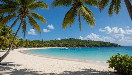 découvrez la guadeloupe, une île paradisiaque où plages de sable blanc, paysages verdoyants et culture vibrante s'entremêlent. explorez ses merveilles naturelles, savourez une cuisine créole délicieuse et plongez dans une histoire riche. les incontournables de la guadeloupe vous attendent pour des vacances inoubliables !