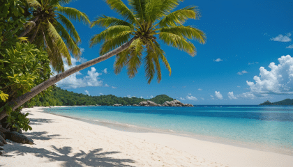 découvrez les seychelles, une destination paradisiaque où le calme et la beauté naturelle s'entremêlent. plages de sable fin, eaux turquoise et paysages enchanteurs vous attendent dans cette oasis de sérénité, au cœur de l'océan indien. évadez-vous et laissez-vous séduire par ce véritable havre de paix.