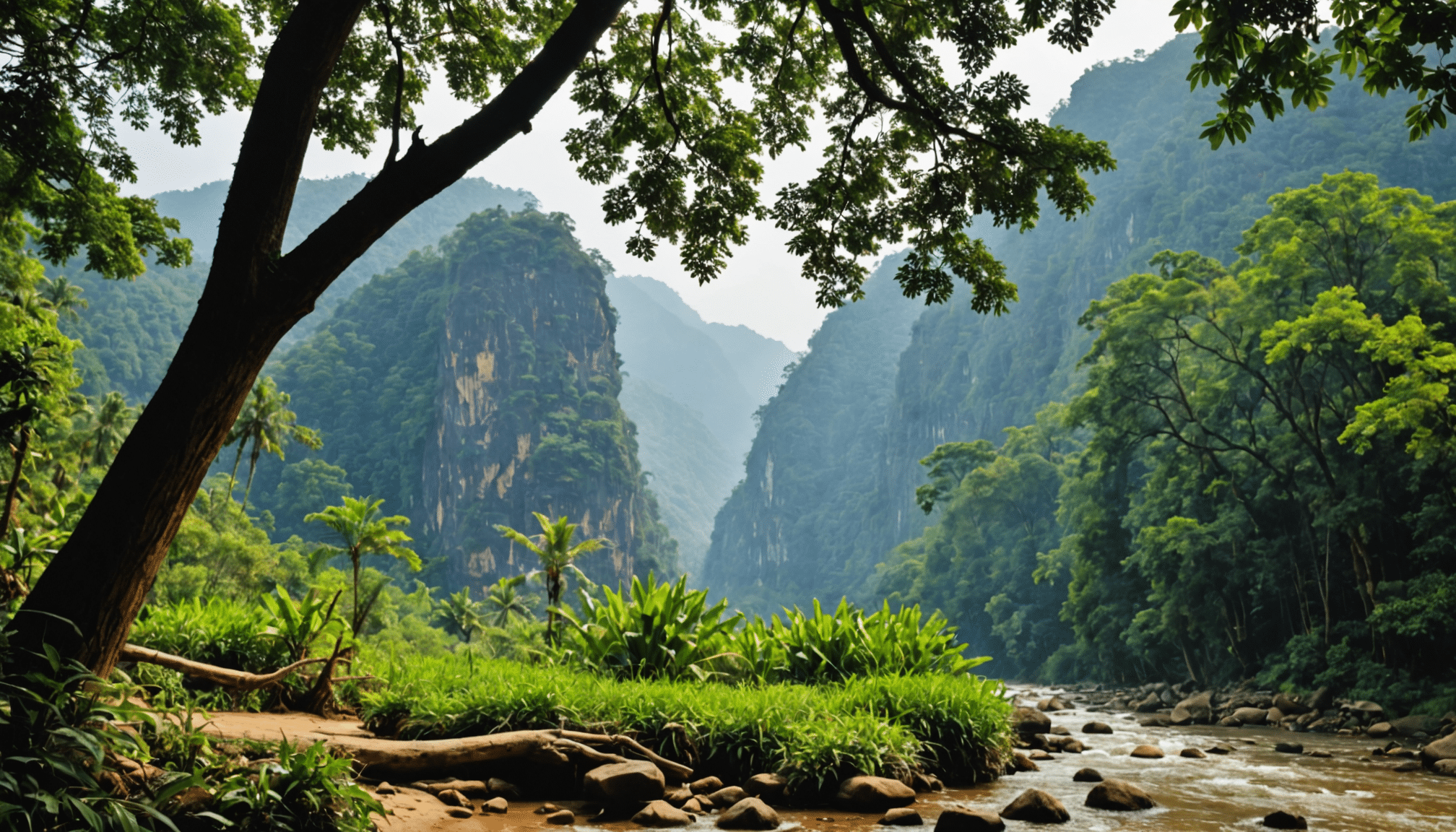 plongez dans l'univers fascinant de la réserve naturelle de bokeo au laos. vivez une expérience immersive unique en compagnie des gibbons dans leur habitat naturel, tout en explorant la biodiversité exceptionnelle de cette région préservée. un voyage inoubliable au cœur de la nature vous attend.
