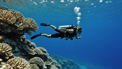 plongez au cœur des merveilles naturelles de moorea avec notre guide sur les trésors sous-marins. explorez des récifs coralliens colorés, une faune marine exceptionnelle et des paysages aquatiques à couper le souffle. partez à l'aventure et découvrez la richesse de cet écrin de biodiversité.