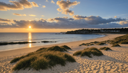 découvrez trébeurden, une joyau de la bretagne, à travers ses sites incontournables. plages de sable fin, sentiers côtiers à couper le souffle et patrimoine riche vous attendent pour une expérience inoubliable au cœur de cette destination pittoresque.